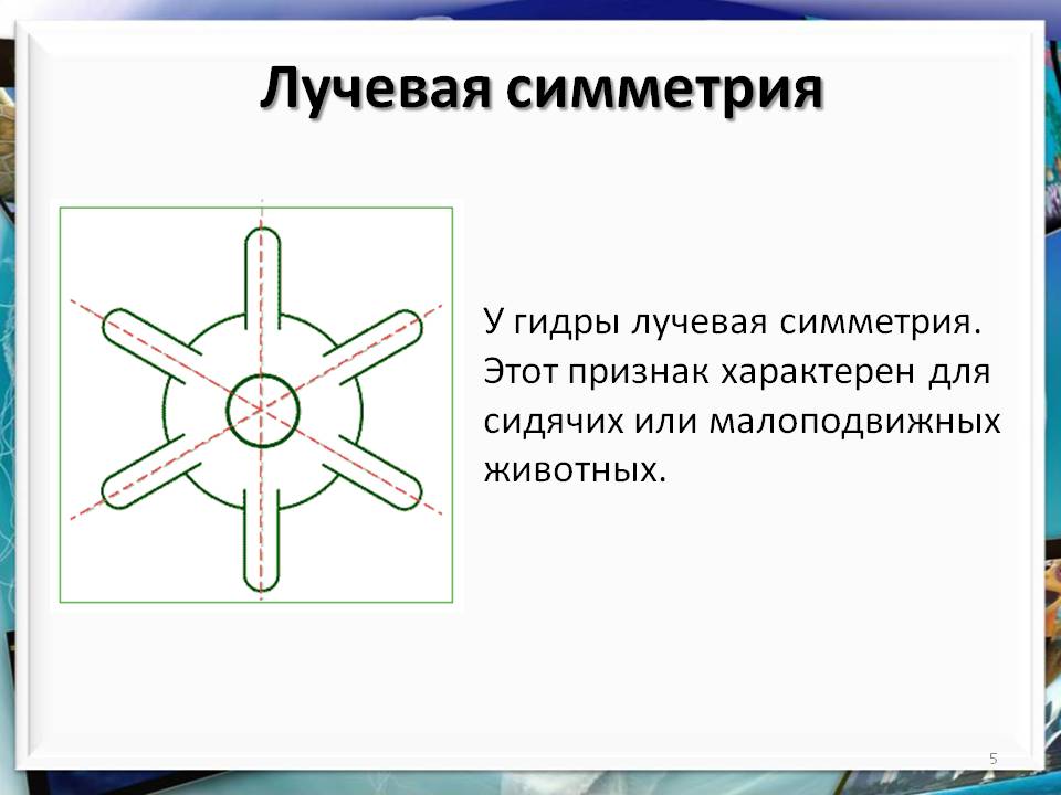 Кракен даркнет магазин