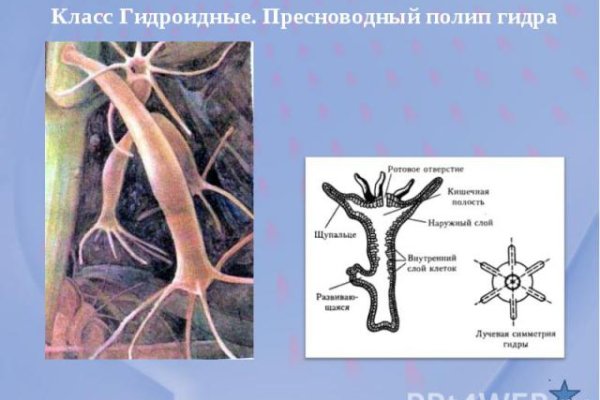 Ссылка кракен не работает