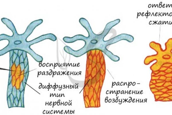 Кракен официальный сайт krakens13 at