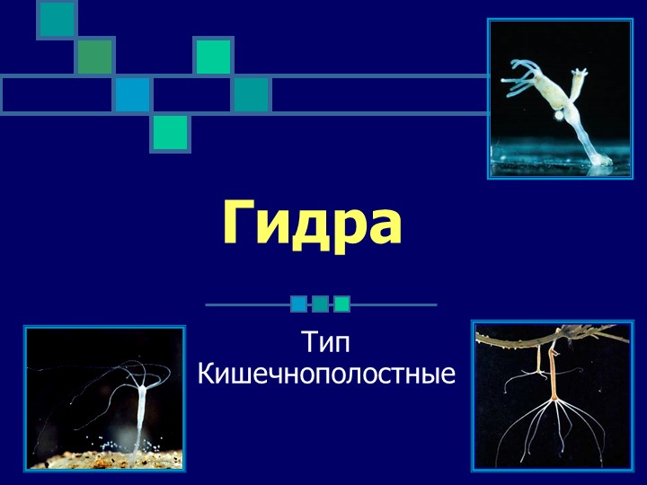 Проблемы со входом на кракен