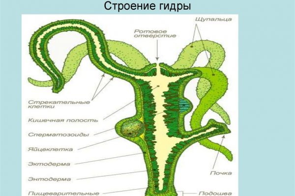 Сайт кракена в торе